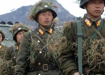 СБУ перехопила розмову росіян, яка підтверджує великі втрати військових КНДР