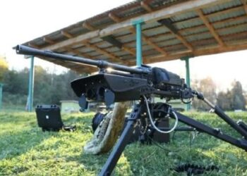 ЗСУ дозволили використовувати дистанційно керований бойовий модуль Wolly