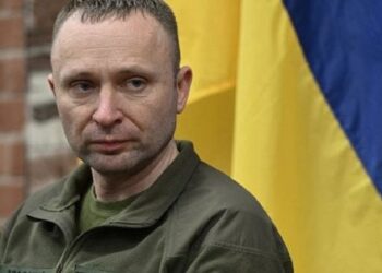 Михайло Драпатий закликав владу до жорсткої реакції на вбивства військових ТЦК