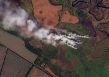 Розвідка США не фіксує оточення ЗСУ на Курщині попри заяви Трампа