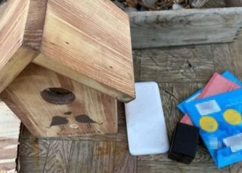 У Дніпрі російська агентка шпигувала за військовими ешелонами через камеру в шпаківні