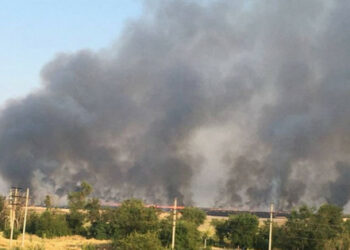 Partizani pri Mariupolu požgali polja z žitom, da ga Rusi ne bi ukradli (foto, video)