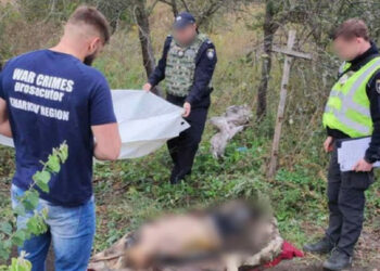 Trupla mučenih civilistov so najdena na osvobojenih ozemljih regije Karkiv