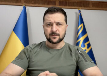 Zelenskyy je na srečanju PACE spregovoril o stanju ukrajinske zračne obrambe