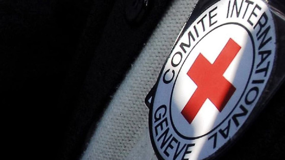 Ruski Rdeči križ ukradel lastnino Ukrajinske družbe na Krimu