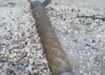 V Romuniji je del ruske rakete, ki so jo izlili na plažo