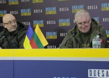 Litva bo Ukrajini predala 36 sistemov zračne obrambe za uničenje iranskih brezpilotnih letal