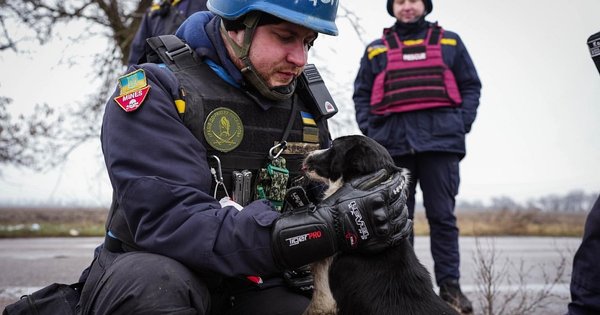 Rezultati 351 dni vojne: naše zmage in izgube