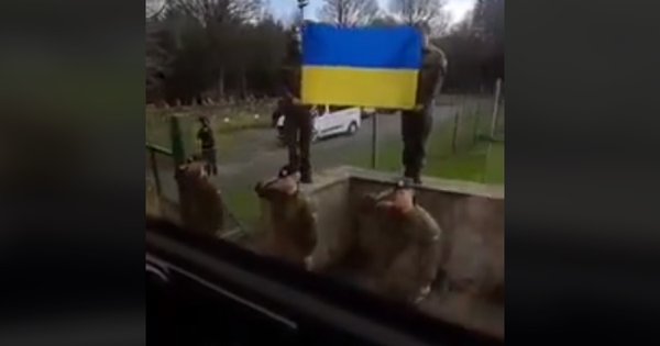 Британські військові урочисто провели бійців ЗСУ перед відправкою на фронт. Відео дня