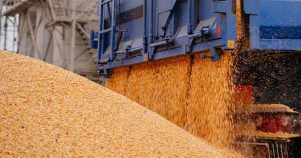 Польща заборонила ввезення зерна та продуктів з України