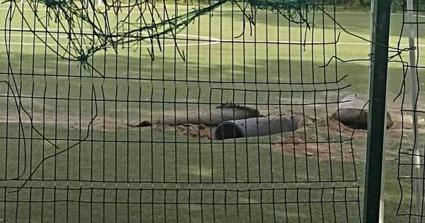 Знайдена у лісі біля Бидгоща ракета була запущена з російського літака