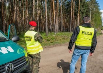 Під польським Бидгощем знайшли боєголовку російської ракети, що впала в грудні