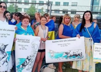 Грета Тунберг висміяла роботу ООН на затопленій Херсонщині