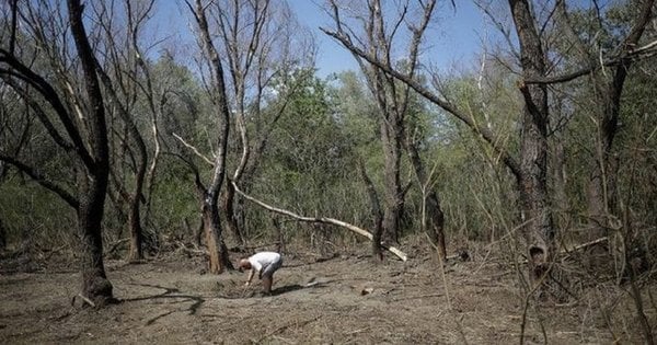 Російський дрон-камікадзе знову вибухнув на території Румунії