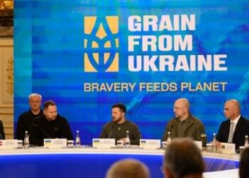 Країни-партнери за день зібрали 100 млн доларів на закупівлю українського зерна