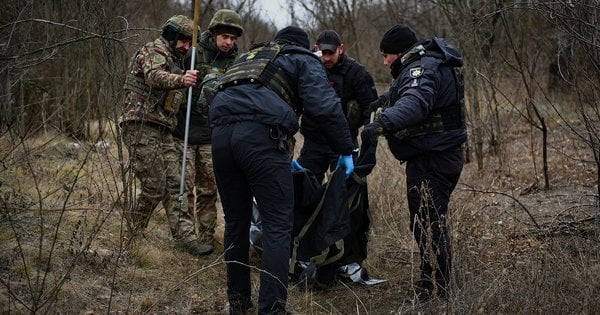 На Запоріжжі у замінованій лісосмузі підірвався грибник