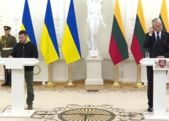 Литва оголосила про надання довгострокового пакета військової допомоги для України
