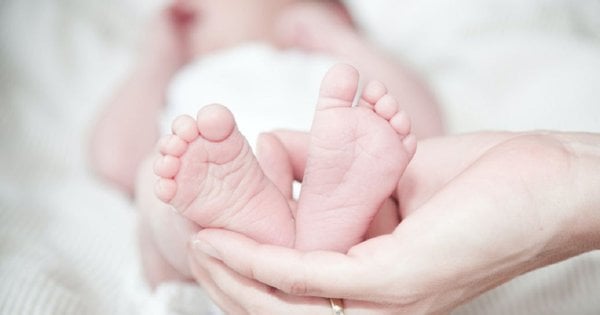 У МОЗ запевнили, що кріобанки не будуть утилізувати біоматеріали загиблих військових