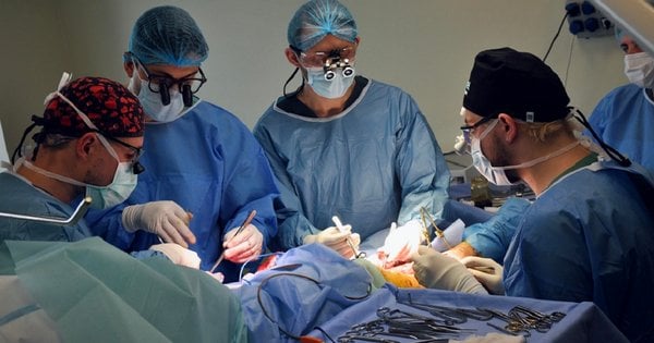 У Львові мати важкопораненого розвідника доглядає сина і веде уроки із лікарняної палати