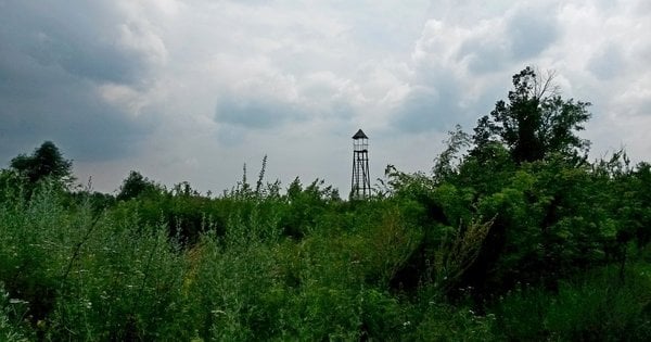 Якою була козацька розвідка: вербування, шифр та неуспішні замахи на гетьманів