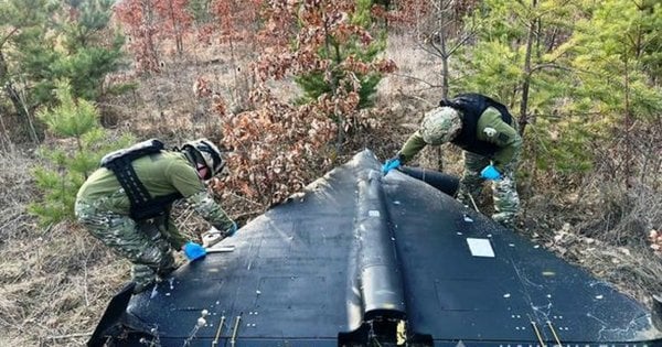 У лісі Вінниччині знайшли дрон-камікадзе у нездетонованому стані (фото)