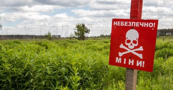 Штучний інтелект залучать до розмінування територій України, – Мінекономіки