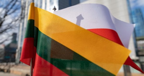 Польща та Литва допустили допомогу Україні в поверненні чоловіків призовного віку