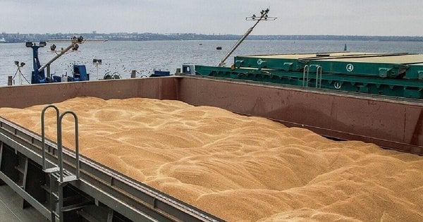 Росія вивезла з окупованих територій понад 1700 тонн зерна