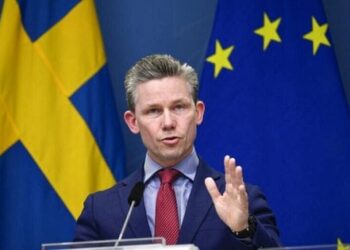 Міністр оборони Швеції дозволив Україні атакувати цілі на території Росії