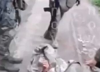 Дмитро Лубінець звернувся до ООН через відео зі знущаннями росіян з військовополонених українців