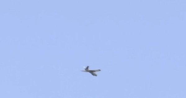 Окупанти заявили про масовану атаку дронів на Крим та Росію (відео)
