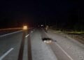 На Запоріжжі водій Toyota насмерть збив військового та втік з місця події