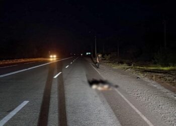 На Запоріжжі водій Toyota насмерть збив військового та втік з місця події