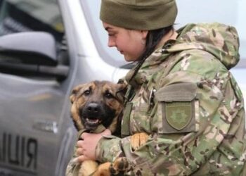 ЄС виділив 2 млн євро на розмінування України за допомогою кінологічних груп