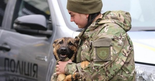 ЄС виділив 2 млн євро на розмінування України за допомогою кінологічних груп