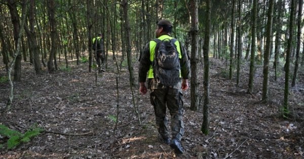 В НАТО відреагували на російський дрон у повітряному просторі Польщі