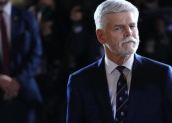 МЗС відреагувало на заяву Петра Павела щодо прийняття окупації частини України