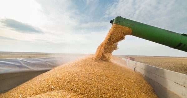 Росіяни заробили на викраденому українському зерні 1 млрд доларів, – WSJ