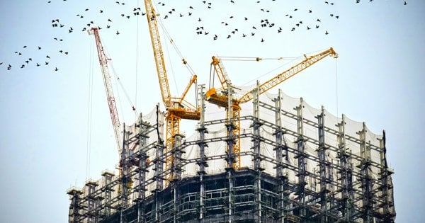 В Україні жінок безоплатно навчатимуть управління будівельною технікою