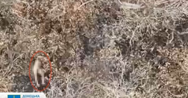 Росіяни розстріляли полонених бійців ЗСУ на Курському та Покровському напрямках