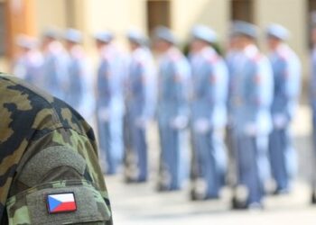 До служби в Силах оборони у 2024 році допустили кілька десятків чехів