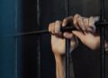 На Прикарпатті арештували колаборонта з Луганської області