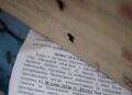 Волинянин у суді скасував штраф за ігнорування надісланої поштою повістки до ТЦК