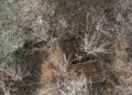 Пораненому бійцю «Азова» дронами доставили на передову кров для переливання