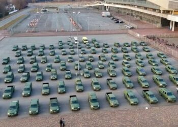 Львівська співачка Ірина Федишин придбала для ЗСУ ще 100 автомобілів