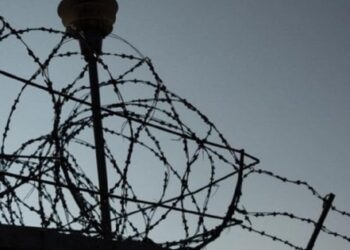У Криму росіяни арештували родину зі Львова за звинуваченням у держзраді
