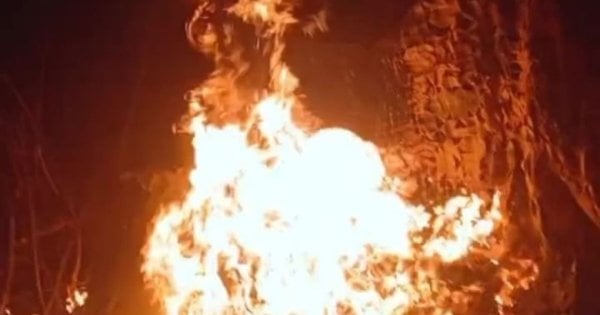 Партизан проник у російський підрозділ та зіпсував військову техніку