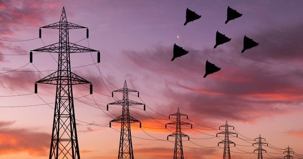 Україна поінформувала США про порушення Росією «енергетичного перемир’я», – Зеленський