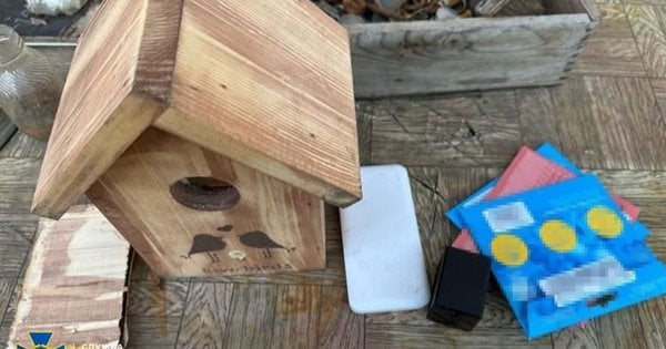 У Дніпрі російська агентка шпигувала за військовими ешелонами через камеру в шпаківні