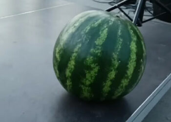 Chersonský melón bol predaný v aukcii za 2 000 UAH